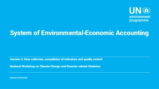 Understanding the System of Environmental-Economic Accounting (SEEA)