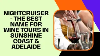 Nightcruiser - The Best Name for Wine Tours in Sunshine Coast & Adelaide