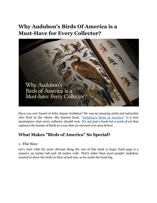 Why Audubon's Birds Of America is a Must-Have for Every Collector?