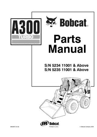 Bobcat A300 B Skid Steer Loader Parts Catalogue Manual Instant Download (SN 5234 11001 & Above; 5235 11001 & Above)