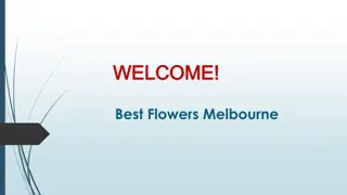 Best Same Day Flower Delivery in Kingsville