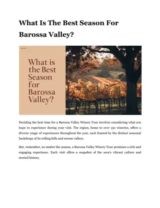 What Is The Best Season For Barossa Valley?