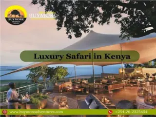 Luxury Safari Accommodation To Discover The Iconic Wildlife And The Natural Envi