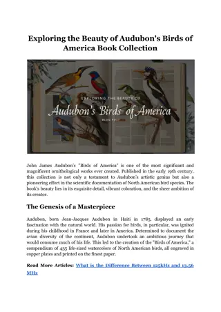 Exploring the Beauty of Audubon's Birds of America Book Collection