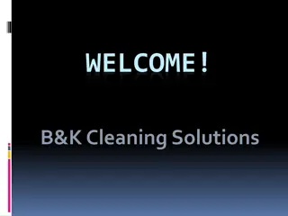 Best Domestic Cleaning in Bushby