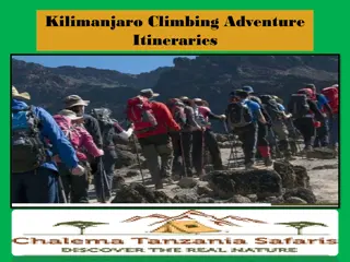 Kilimanjaro Climbing Adventure Itineraries