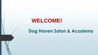 Best Dog Groomer Course in Bishan