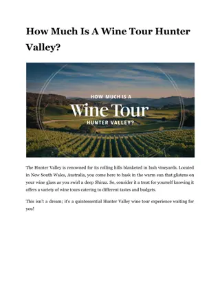 How Much Is A Wine Tour Hunter Valley?