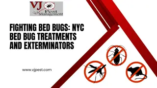 Fighting Bed Bugs NYC Bed Bug Treatments and Exterminators