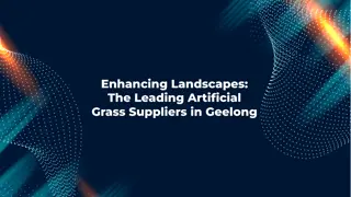 Artificial Grass Suppliers Geelong | Auzzie Turf