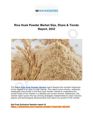 Rice Husk Powder Market Size, Share & Trends Report, 2032