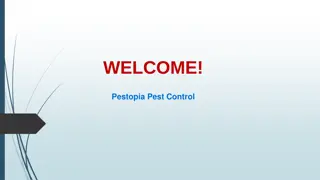 Get the Best Pest Control Bed Bug in MacPherson