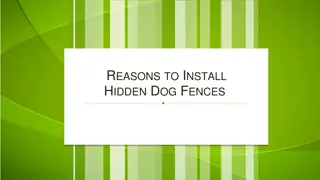 Reasons to Install Hidden Dog Fences