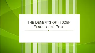 The Benefits of Hidden Fences for Pets