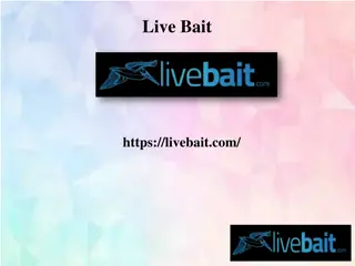 Best 8 Foot Cast Fishing Net, livebait.com