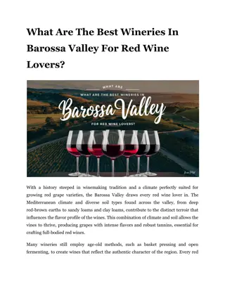 What Are The Best Wineries In Barossa Valley For Red Wine Lovers_