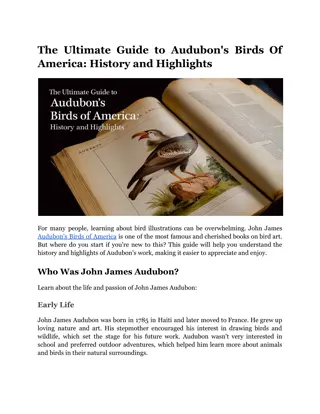 The Ultimate Guide to Audubon's Birds Of America_ History and Highlights