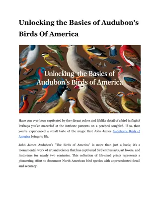Unlocking the Basics of Audubon's Birds Of America