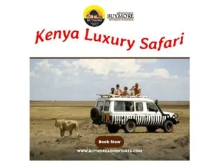 How Enjoyable is Kenya Luxury Safari