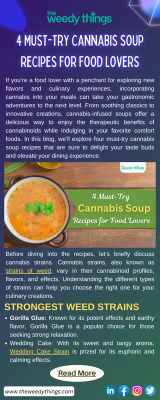 4 Must-Try Cannabis Soup Recipes for Food Lovers