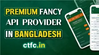 CTFC Premium Fancy API Provider in Bangladesh