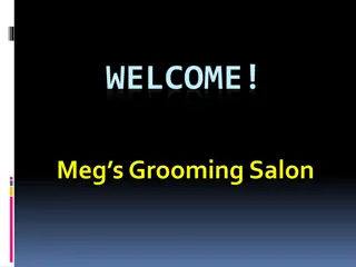 One of the Best service for Full Grooming in Windsor Hills