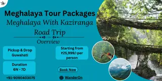 Journey Through Meghalaya and Kaziranga A Scenic Road Trip