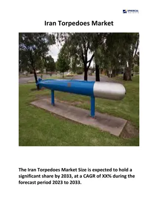 Iran Torpedoes Market