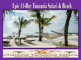 Epic 11-Day Tanzania Safari & Beach