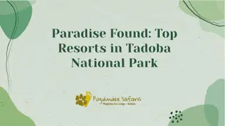 Paradise found top resorts in Tadoba-national park