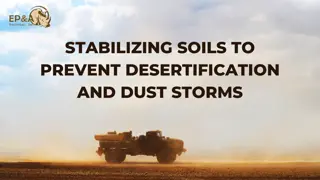 Stabilizing soils to prevent desertification and dust storms