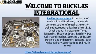 Steel Carabiner & Industrial Hooks at Buckles International