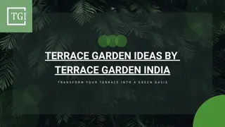 Transform Your Terrace with Terrace Garden India