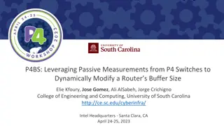 Dynamic Buffer Sizing using Passive Measurements from P4 Switches