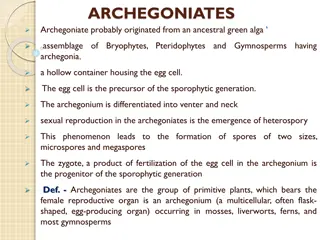 Evolution and Characteristics of Archegoniates in Plant Kingdom