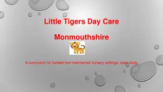 Little Tigers Day Care: Implementing a Curriculum for Nursery Settings