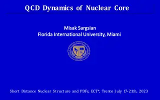 Insights into Nuclear Core Dynamics and Structure