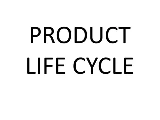 The Product Life Cycle: Stages and Examples