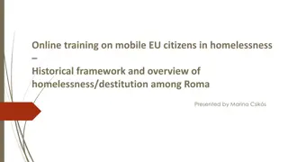 Challenges Faced by Roma in Europe: A Comprehensive Overview