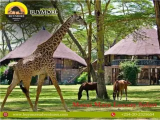 Luxury Masai Mara Safari Tips for a Memorable Family Vacation