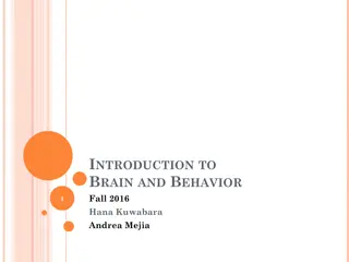 The Brain and Behavior in Fall 2016