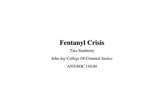 The Fentanyl Crisis: Impacts and Adaptations