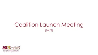 Coalition Launch Meeting Agenda & Progress Overview