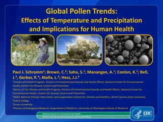Impact of Temperature and Precipitation on Global Pollen Trends and Human Health