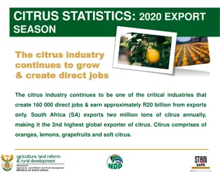 Citrus Industry in South Africa: 2020 Export Season Statistics