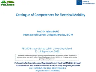 Competence Development in Electrical Mobility Master's Program
