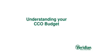 Understanding Your CCO Budget Process