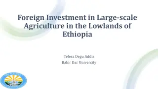 Foreign Investment in Large-scale Agriculture in the Lowlands of Ethiopia: Challenges and Paths Forward