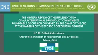 Midterm Review of International Drug Policy Commitments