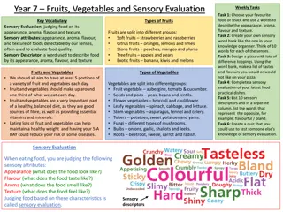 Exploring Fruits, Vegetables, and Sensory Evaluation in Food Science